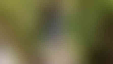 Woolgoolgaoffroad and a waterfall