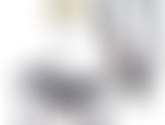 10° - Elu of the Fifteen