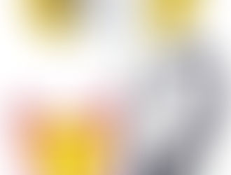 17° - Knight of the East and West