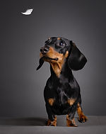 PHOTO-2025-10-02-19-20-27 (6).jpg