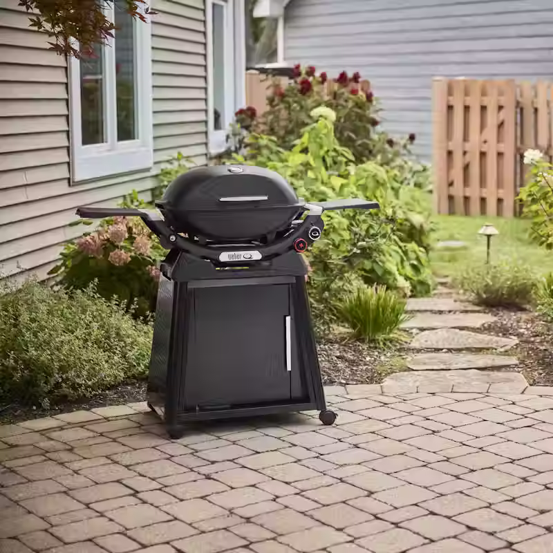 BARBECUE AU GAZ Q 2800N+ ET SUPPORT AVEC PIEDS