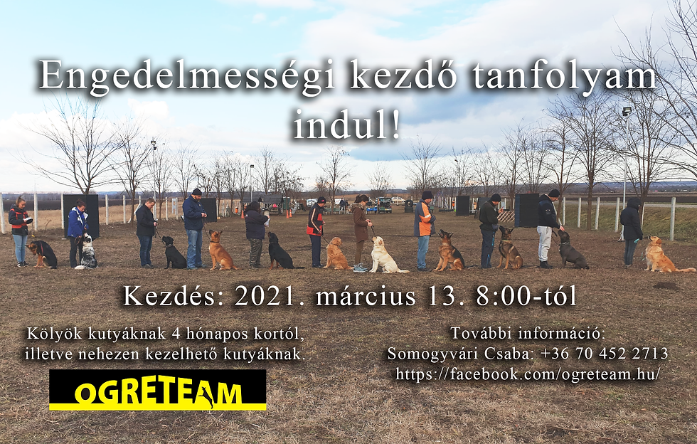 Kezdő tanfolyam - március