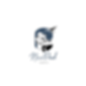 Logo-BLEU-NOIR_fond-blanc.png