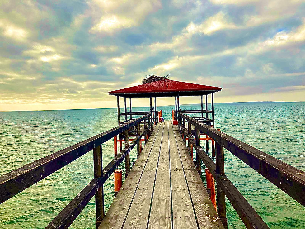 Miniatura: La baja - Extremo