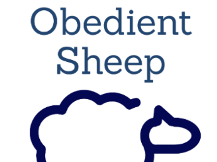 book cover OS.png