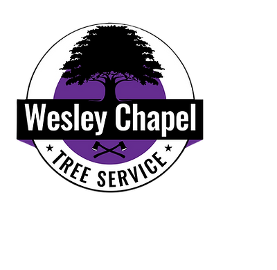 Wesley Chapel Tree Service