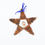 Thumbnail: willow star