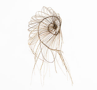 A 3D willow basketry sculpture creating a loosely woven circular spiral form that remains open with loose tips rounded to tuck back into the form creating a sense of volume.