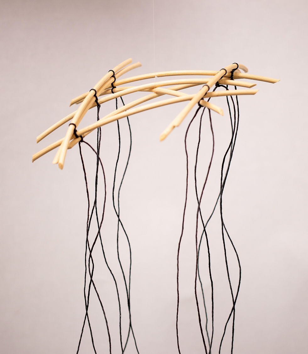 lashed sticks with hanging thread