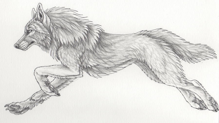 Reflection Sketch