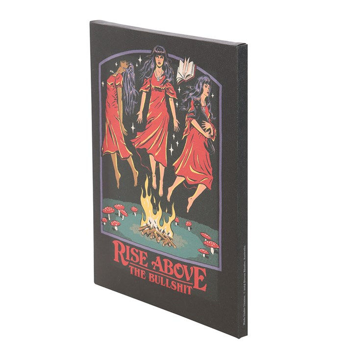 Thumbnail: 19x25cm Rise Above the Bullshit Canvas Plaque by Steven Rhodes