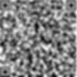 Human Services Survey QR Code.png
