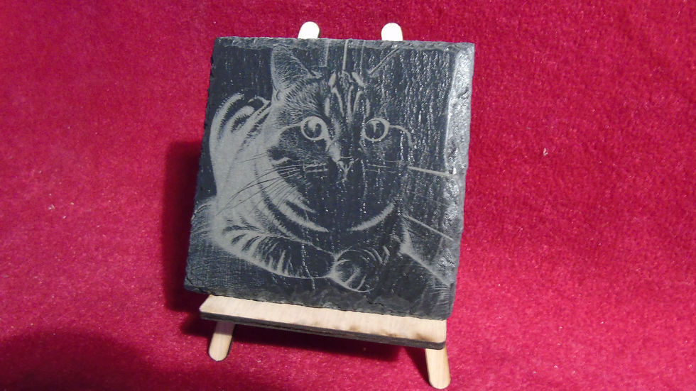 Thumbnail: Cats and Dogs slate coasters