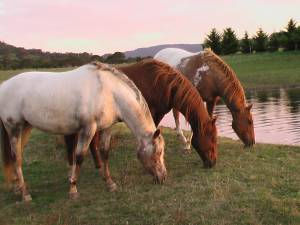2013_06_30_0054.jpg