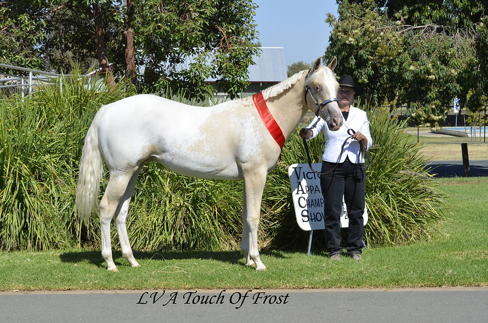 LV A Touch of frost 2014.jpg