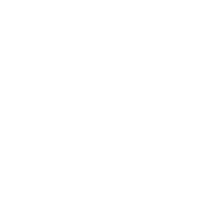 wired-outline-19-magnifier-zoom-search-hover-spin.gif