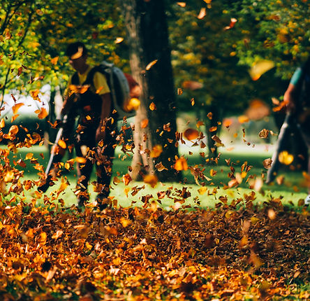 people-operating-heavy-duty-leaf-blower.jpg