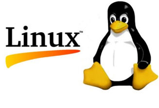Dispositivos que utiliza el sistema operativo LINUX