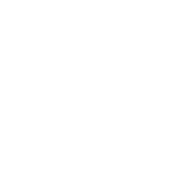 wired-outline-981-consultation-hover-conversation.gif