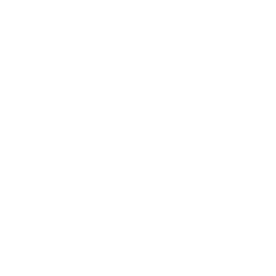 wired-outline-2601-speed-hover-pinch.gif