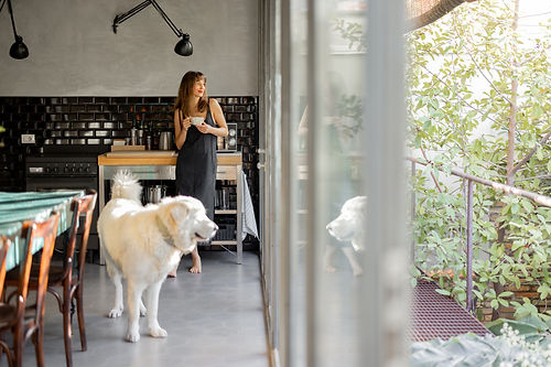 woman-with-dog-enjoying-morning-in-modern-kitchen-2025-02-04-20-44-39-utc.jpg
