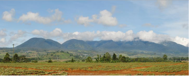 Mt. Kitanglad Range Natural Park