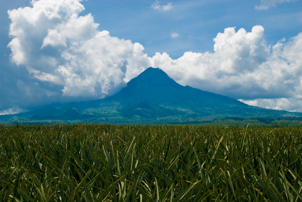 Mt. Matutum