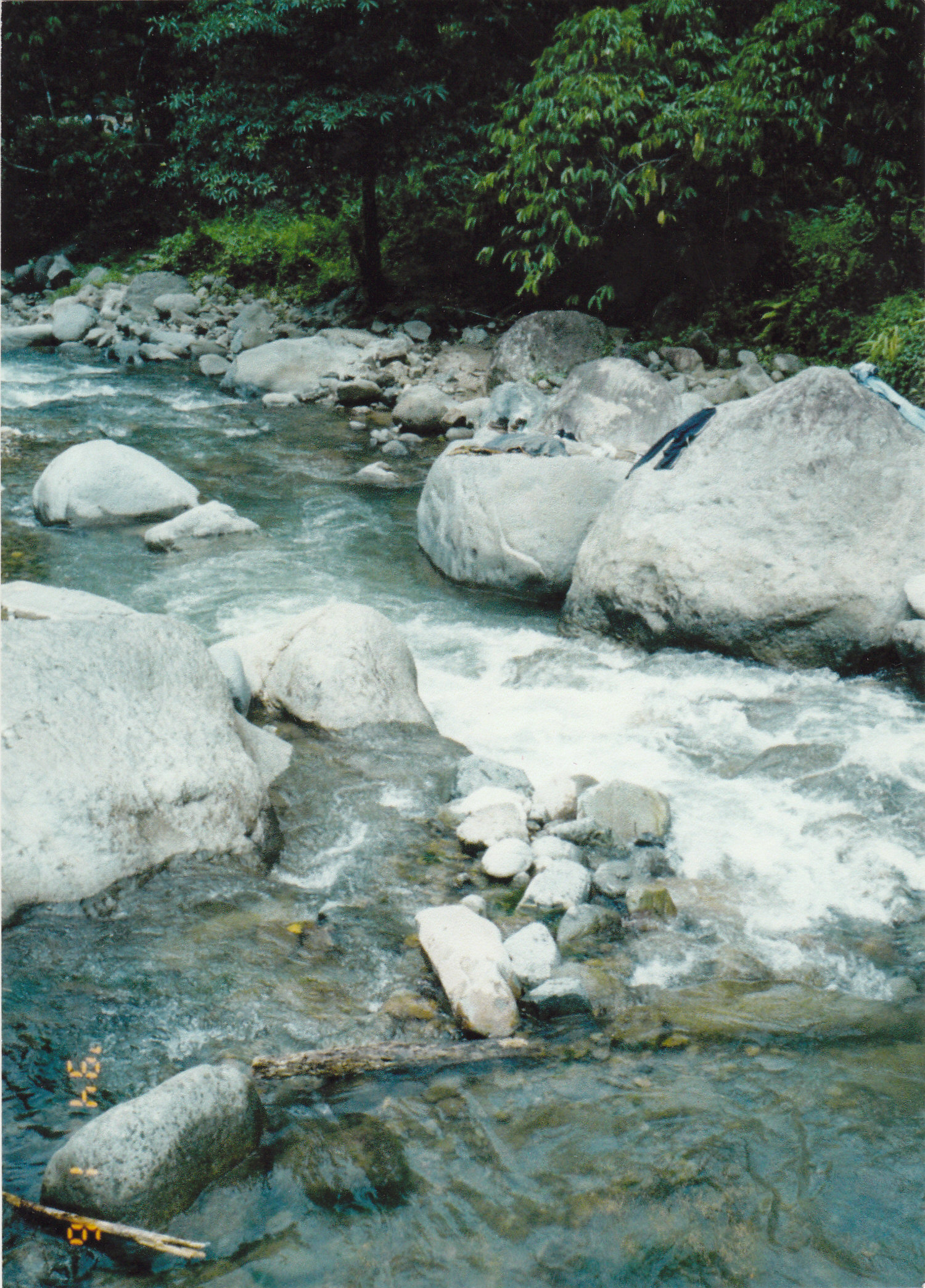 Mainit Hotspring Protected Landscape