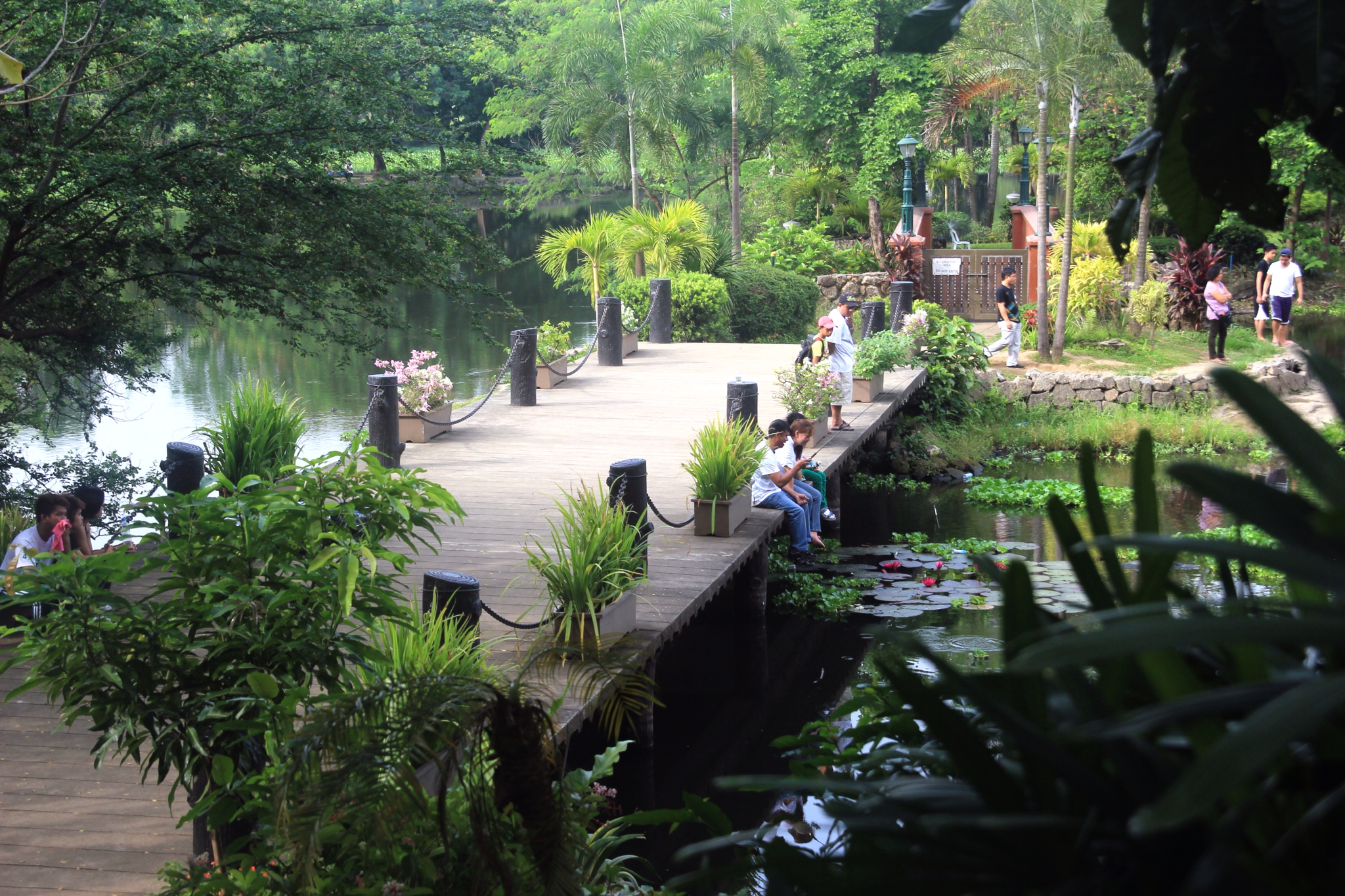 Ninoy Aquino Parks & Wildlife Center