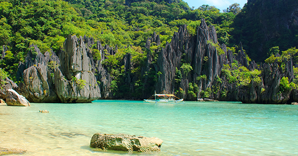 Palawan Flora, Fauna and WFR