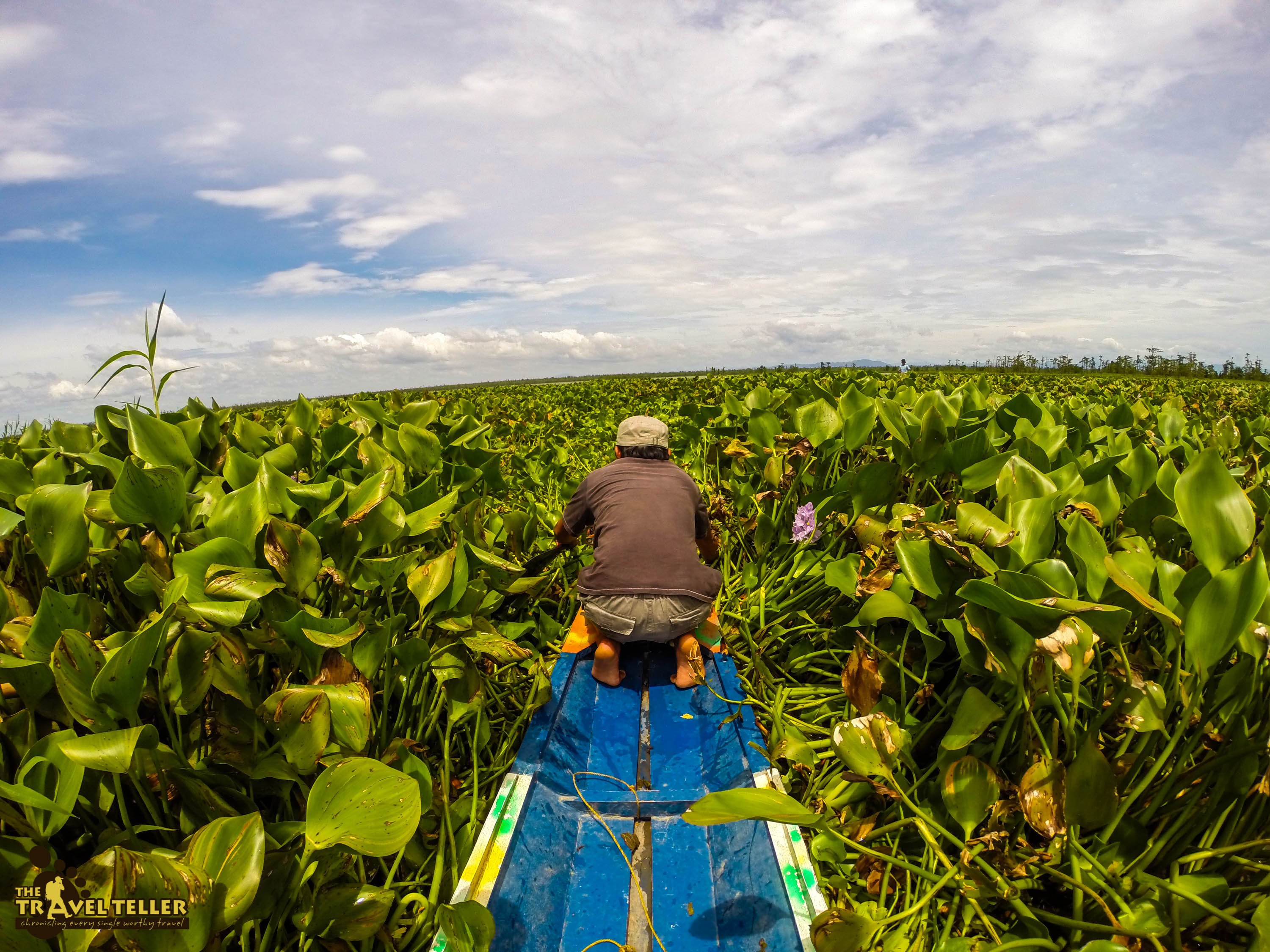 Agusan Marsh Wildlife Sanctuary