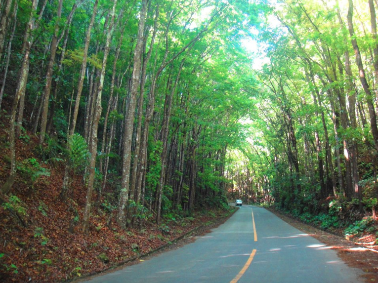 Rajah Sikatuna Protected Landscape
