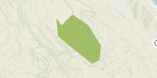 Lopez Watershed Forest Reserve