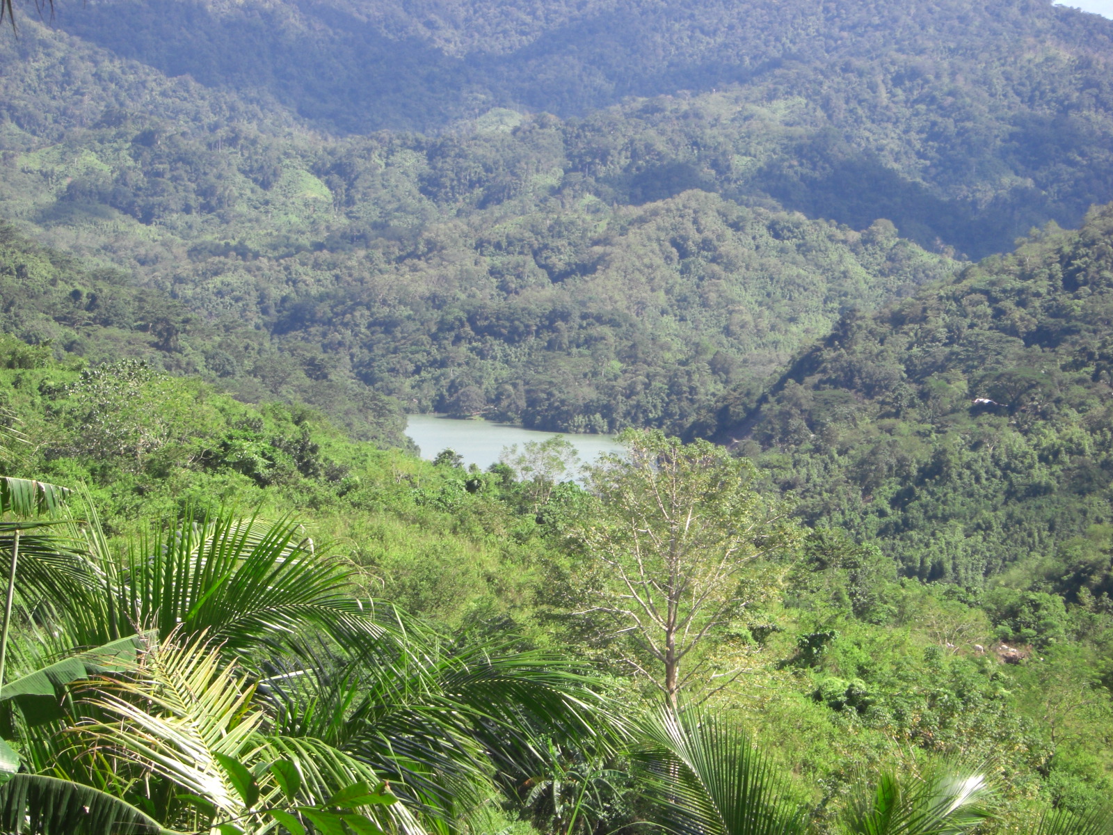Angat Watershed Forest Reserve