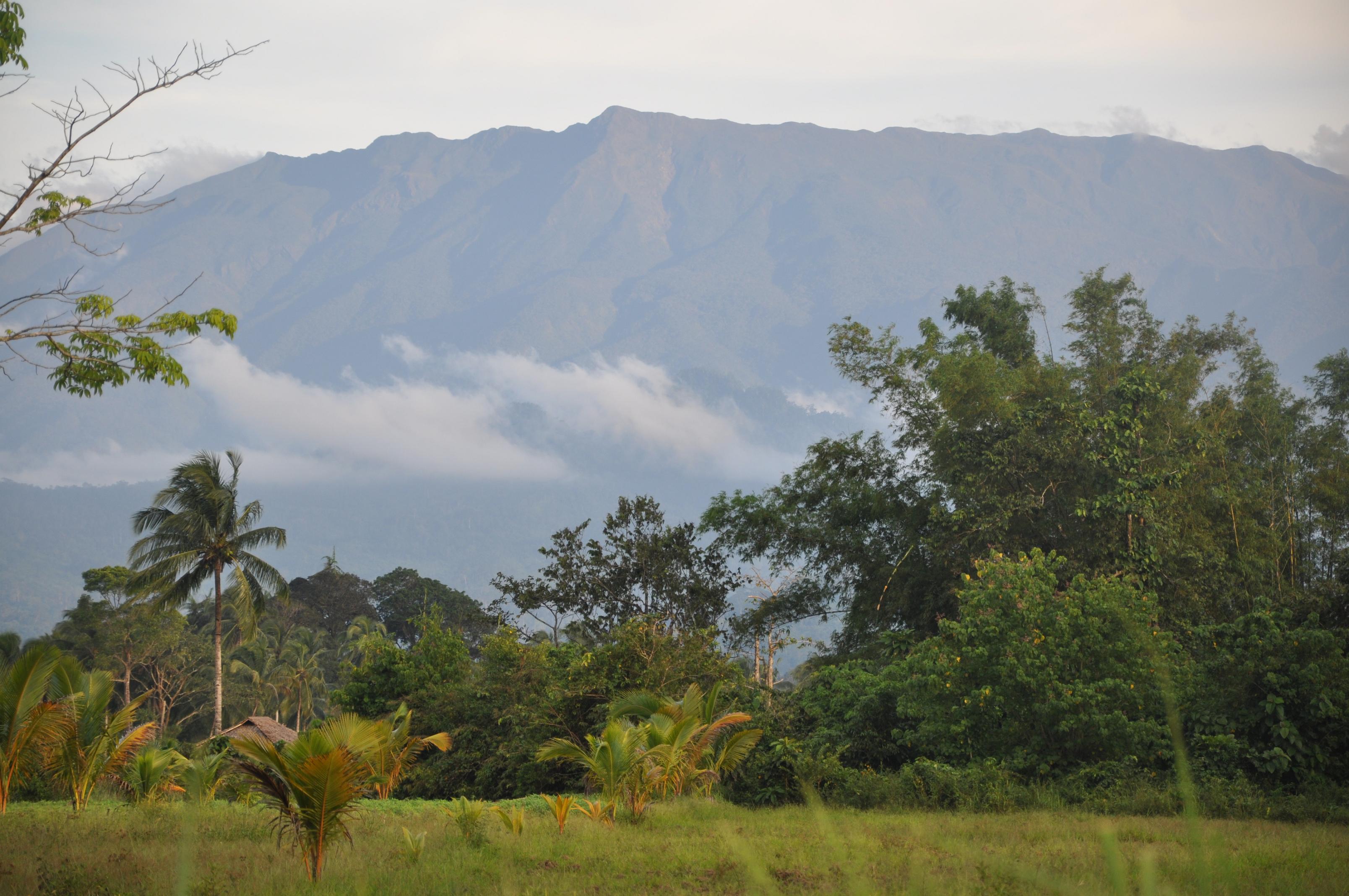 Mt. Mantalingajan