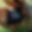 Hat in Log.HEIC