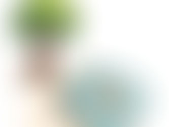 "Todos somos genios pero si juzgas a un pez por su habilidad de trepar árboles, vivirá toda su vida pensando que es inútil." Albert Einstein