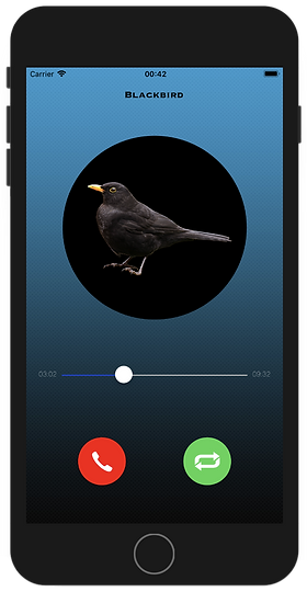 Bird Calling Call Mode