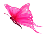 butterfly.png
