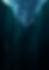 Tab Bottom (1).png