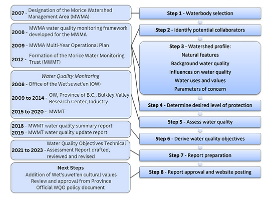 Figure_MWMA WQO Development Timeline.png