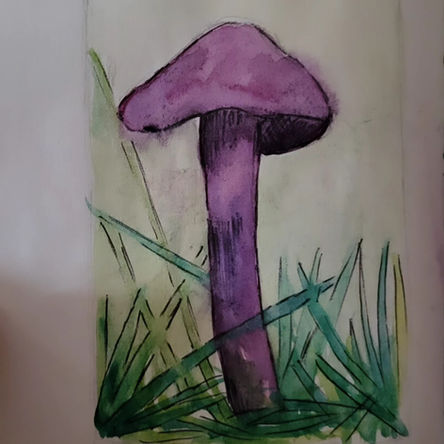 Purple Deceiver Mushrooms