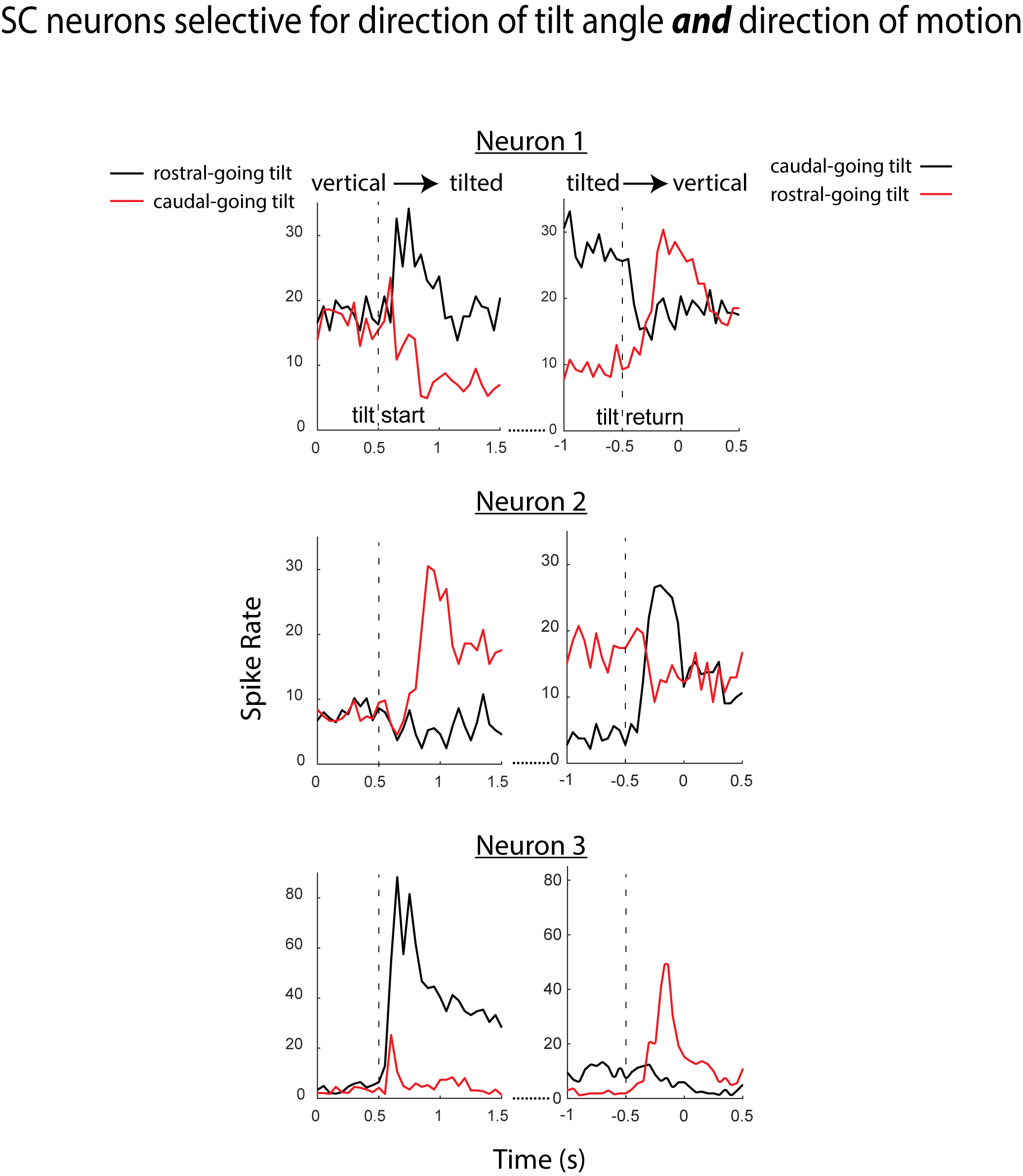 SC global motion selectivity