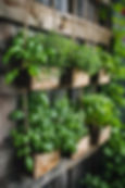 Vertical Garden