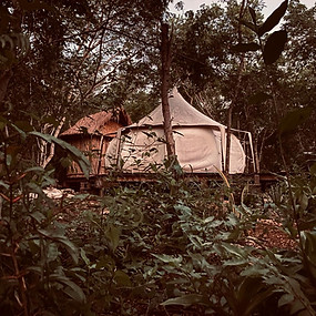 WhatsApp Image 2024-03-12 at 11.18.22.jpeg