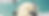 Banner web - Las Nativas (2).png