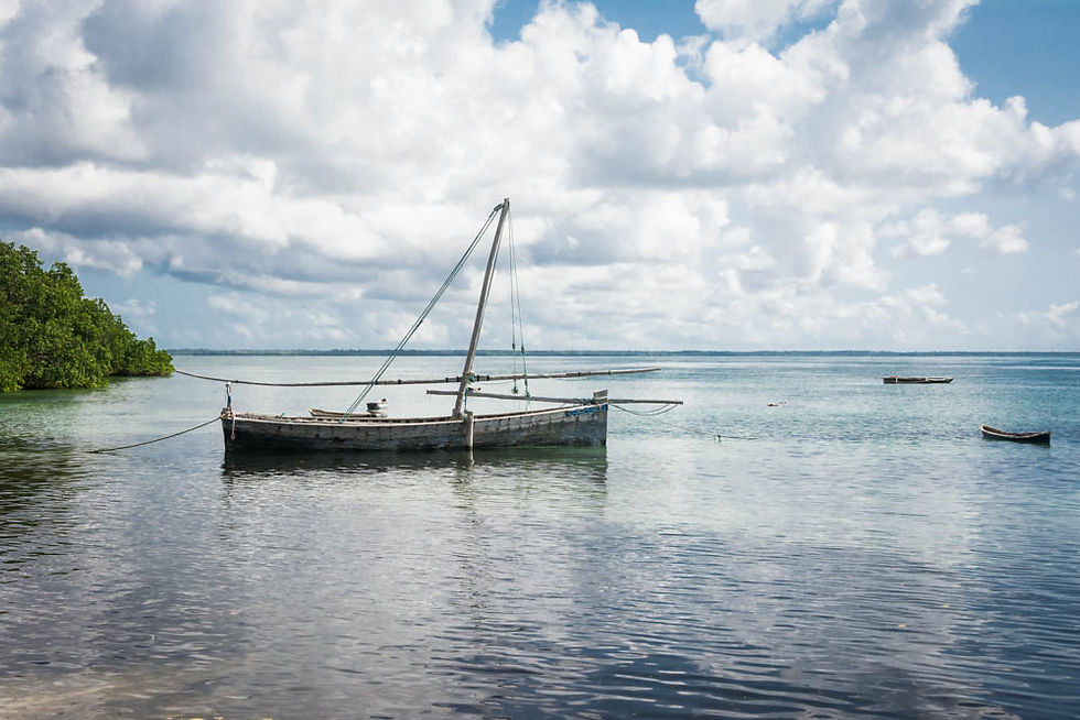 Tanzanian Skiff