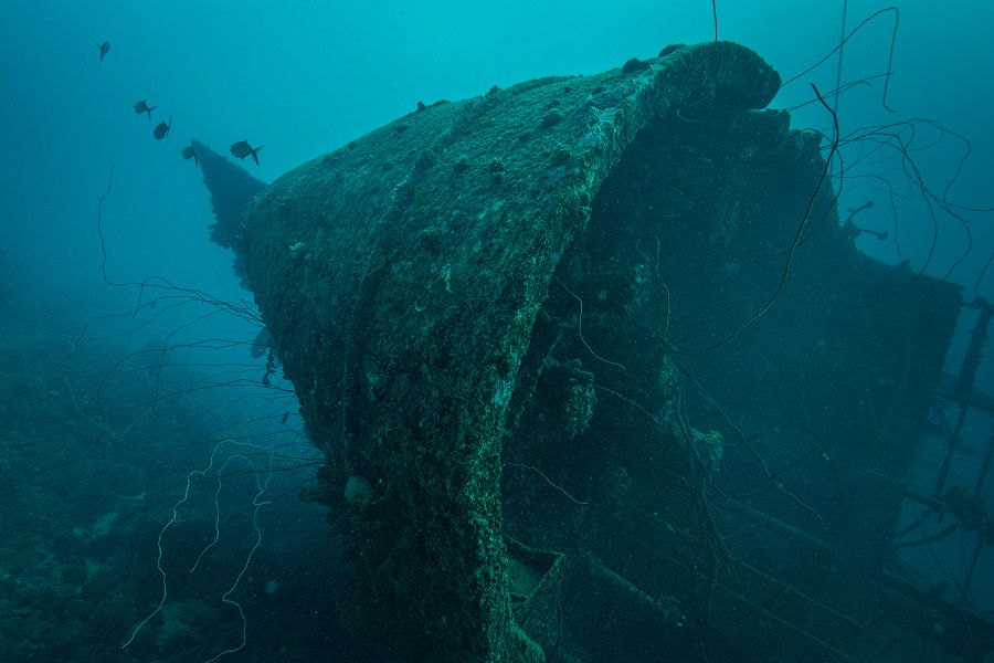 Hilma Hooker Wreck
