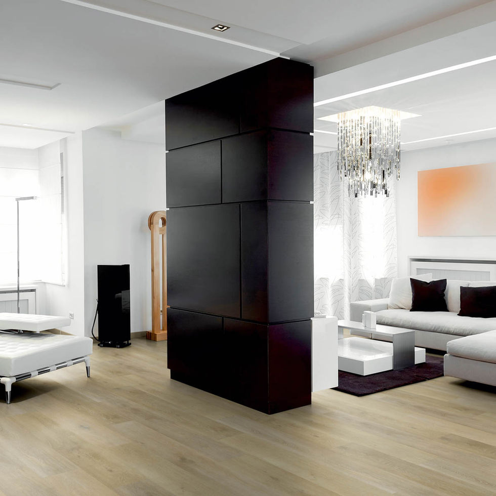 Moderne woonkamer met houten vloer en zwarte scheidingswand