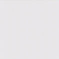 plain white background.jpg
